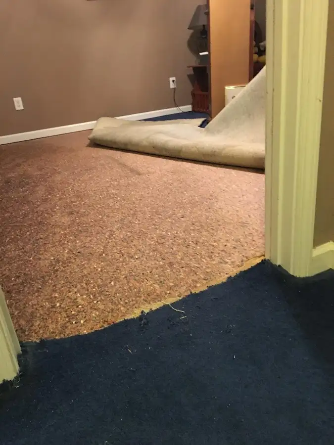 Carpet pad removal revealing water damage during Water Mitigation Services in Plaistow
