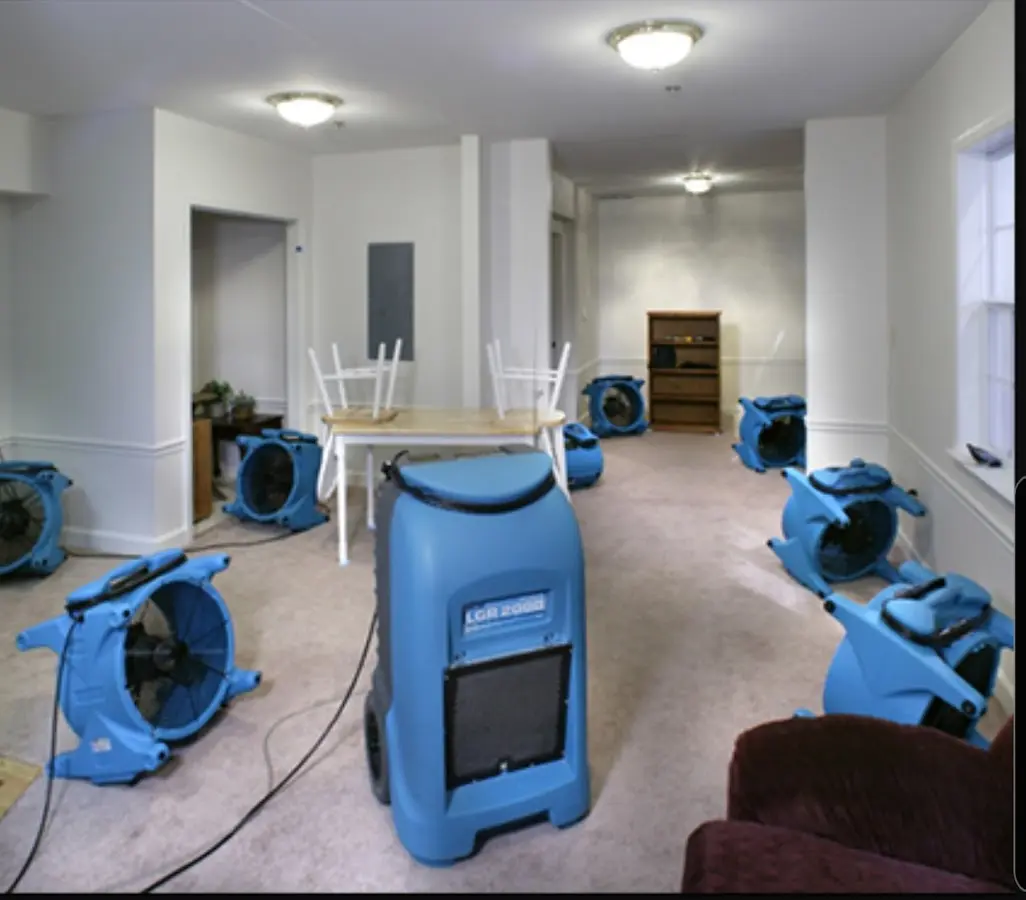 Air movers and dehumidifier setup for Water Extraction & Removal in Plaistow